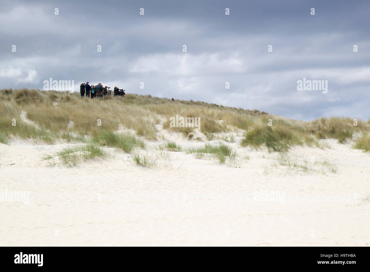 Bird watchers on sand dunes, Isle of Lewis, Scotland Stock Photo