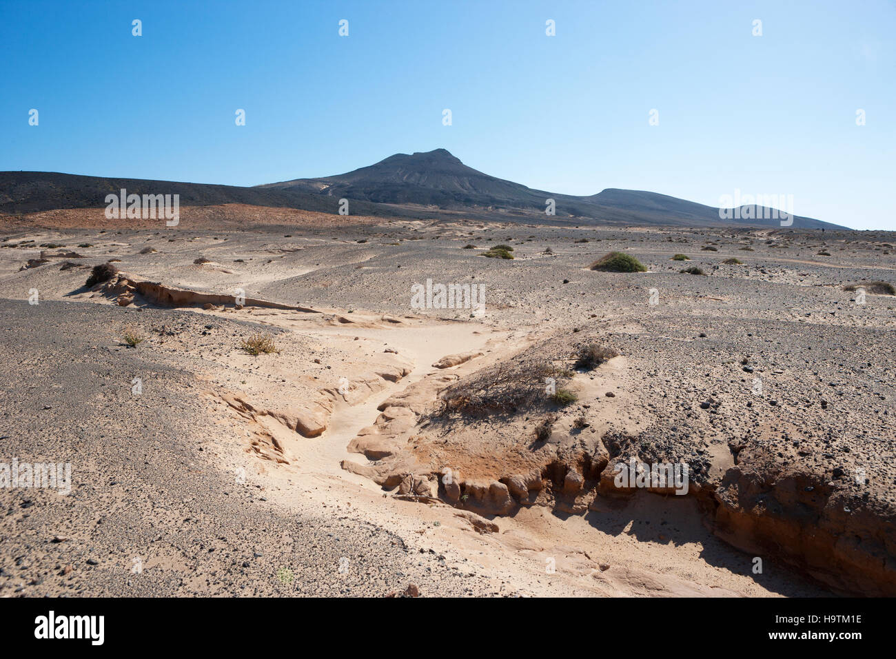 Desert landscape with a view of volcano Las Talahijas, Peninsula Jandia, Fuerteventura, Canary Islands, Spain Stock Photo