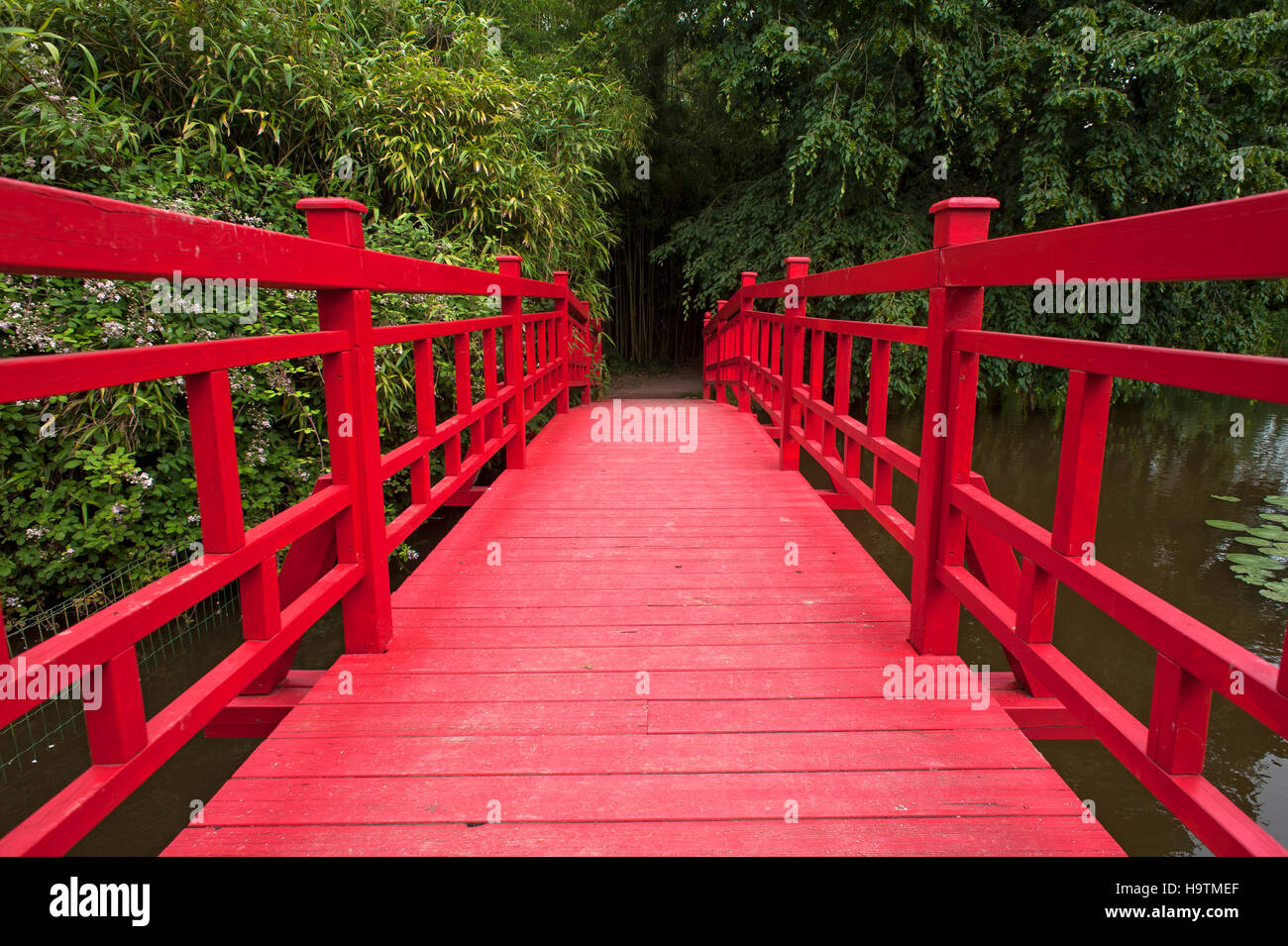 Asian bridge, Parc Floral et Tropical de la Court d'Aron, Saint Cyr en Talmondais, Vandee, France Stock Photo