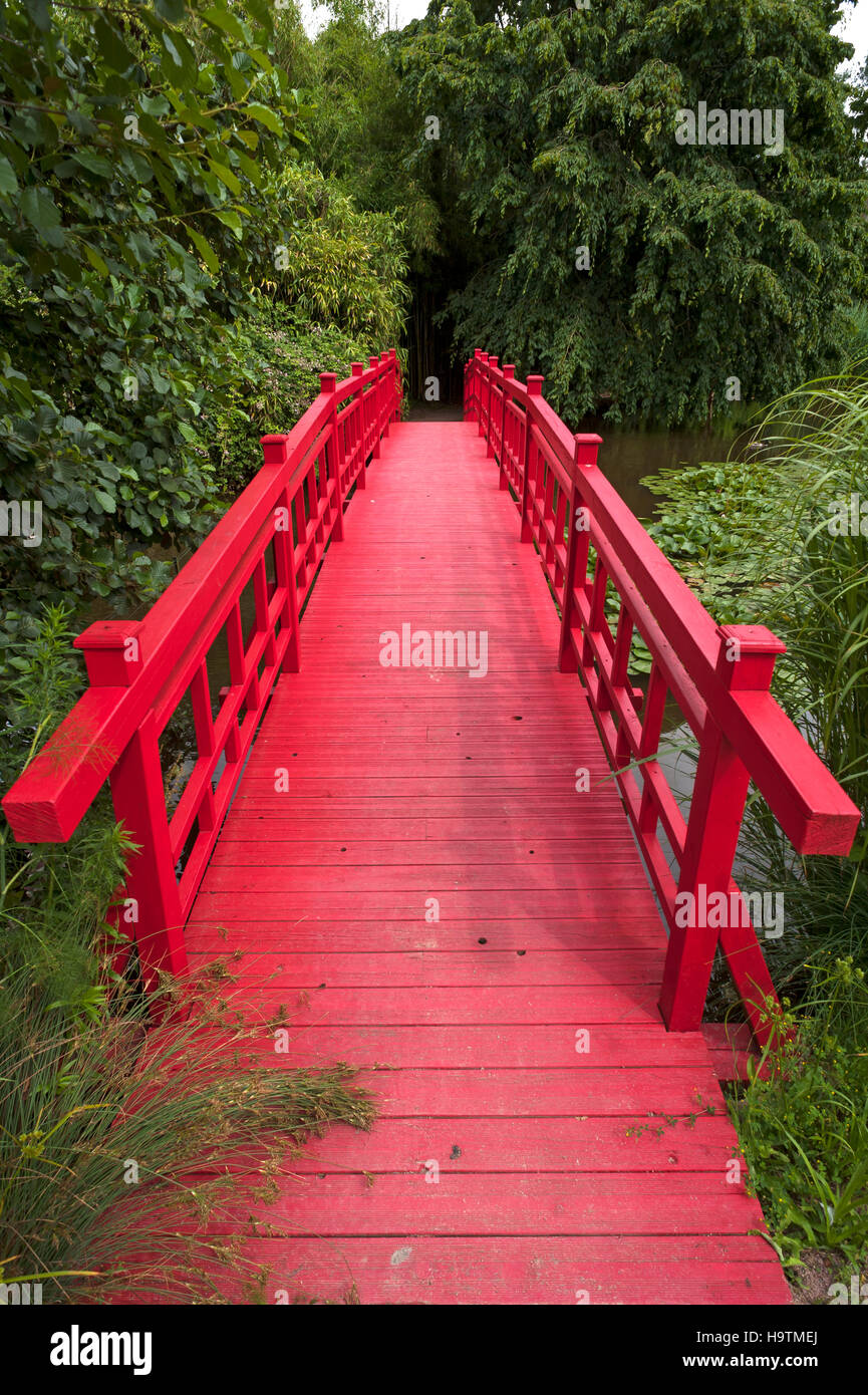 Asian bridge, Parc Floral et Tropical de la Court d'Aron, Saint Cyr en Talmondais, Vandee, France Stock Photo