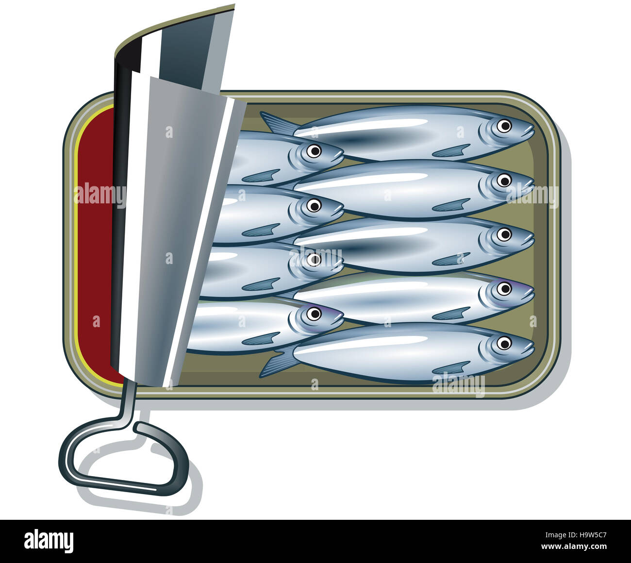 sardines in oil Stock Photo Alamy