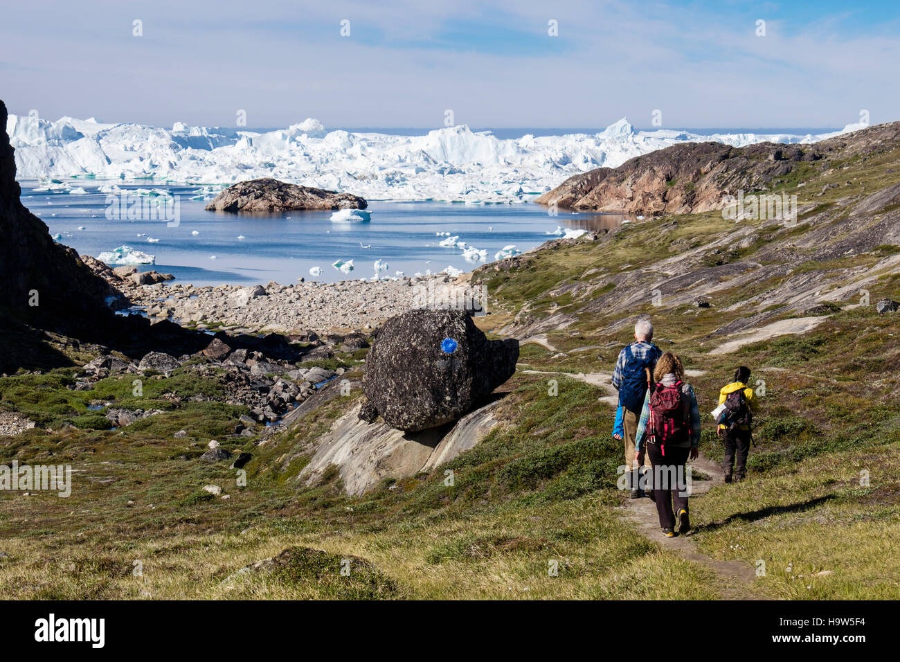 People hiking on blue trail hike to Holms Bakke Ilulissat Icefjord (Isfjord) with enormous icebergs in summer 2016. Ilulissat West Greenland Stock Photo