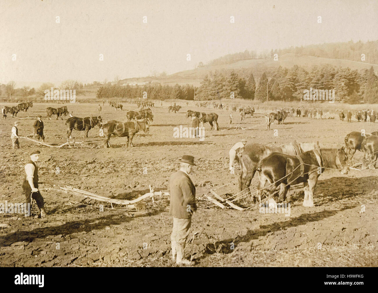 Historic archive image of ploughing match at Builth Wells, Powys, Wales c1900 Stock Photo