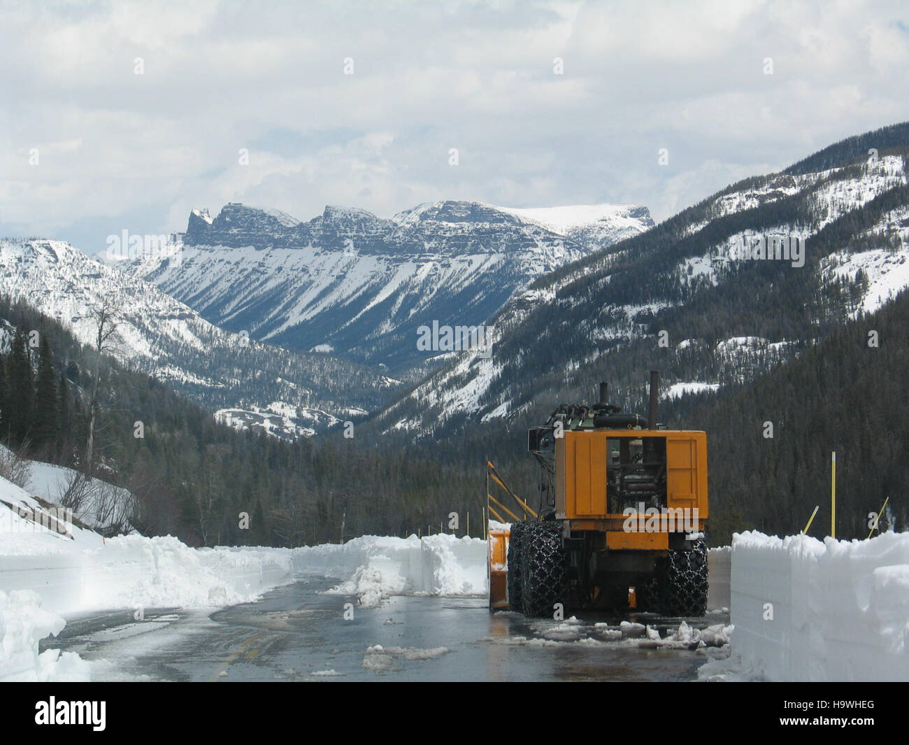 yellowstonenps 8579026464 East Entrance Road pullout Stock Photo Alamy