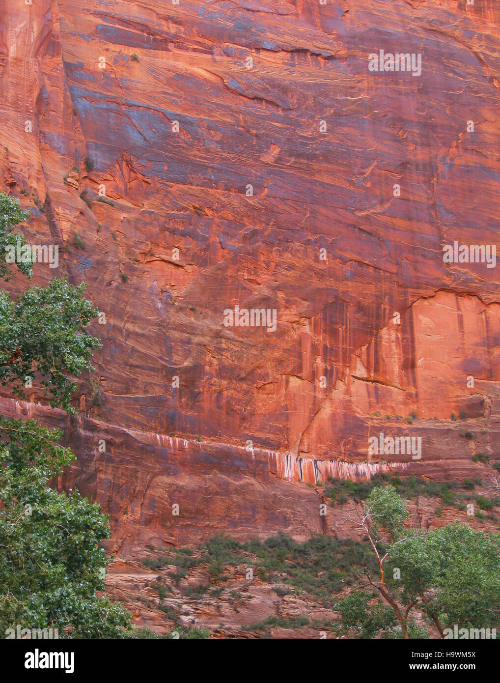 zionnps 6121822844 Desert Varnish Stock Photo Alamy