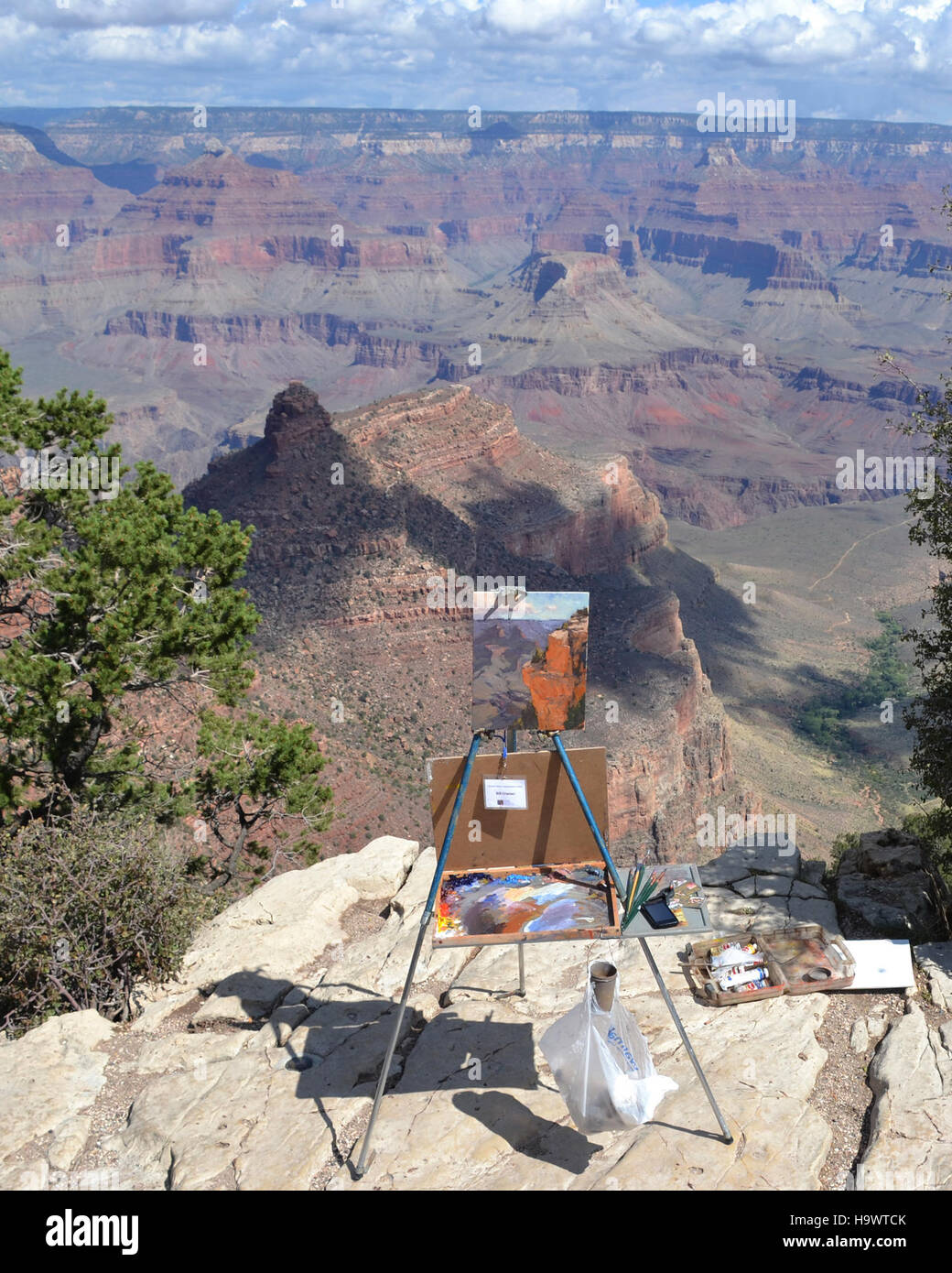 The Grand Canyon National Park's 2011 Celebration of Art highlights the ...