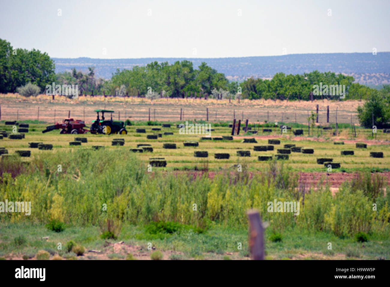 Pueblo traditional farming methods