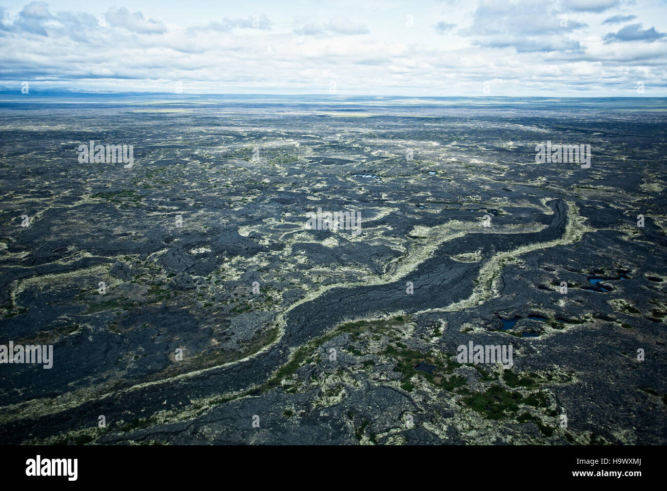 The Bering Land Bridge, once a land connection between Asia and North ...