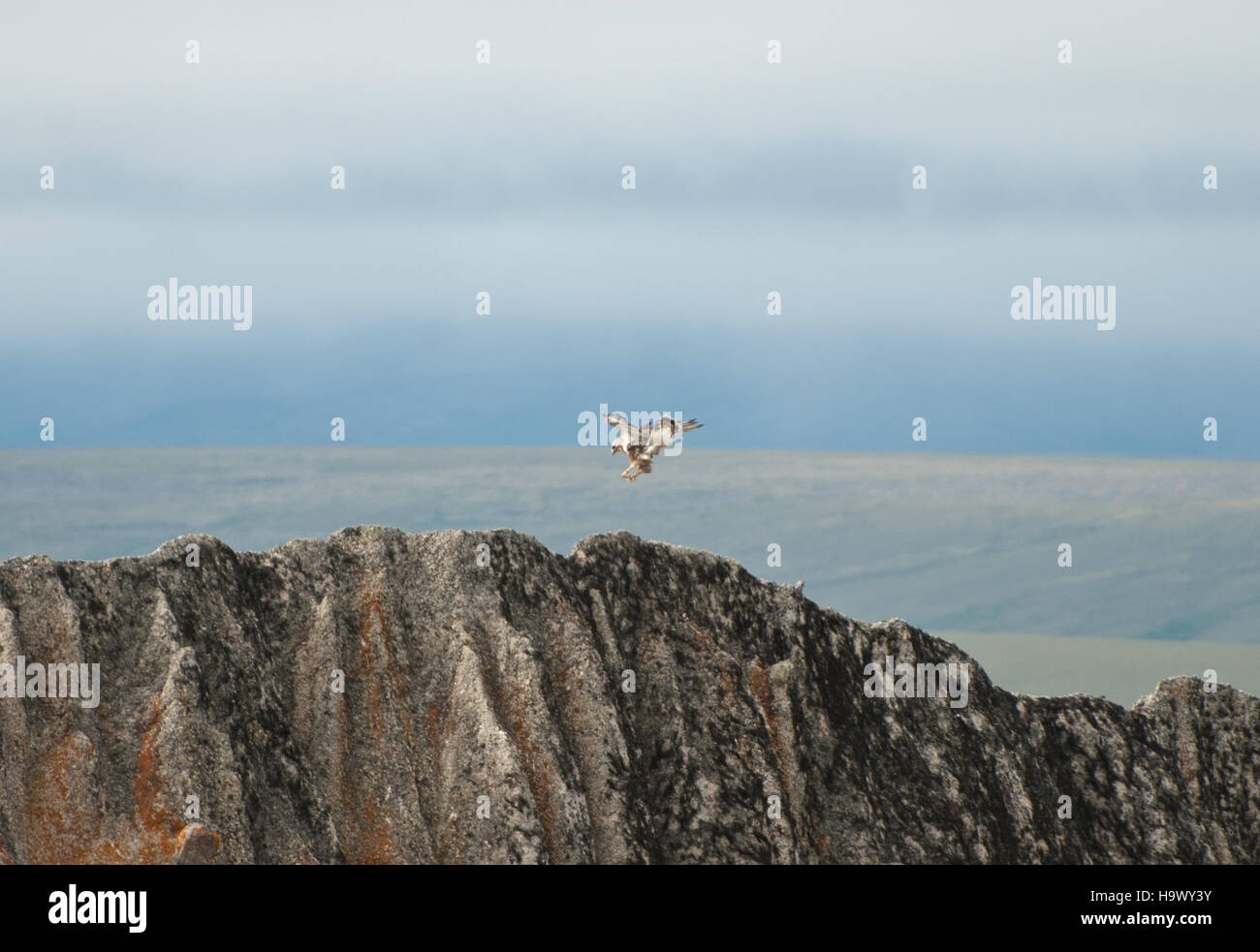 The Bering Land Bridge, once connecting Asia and North America, is ...