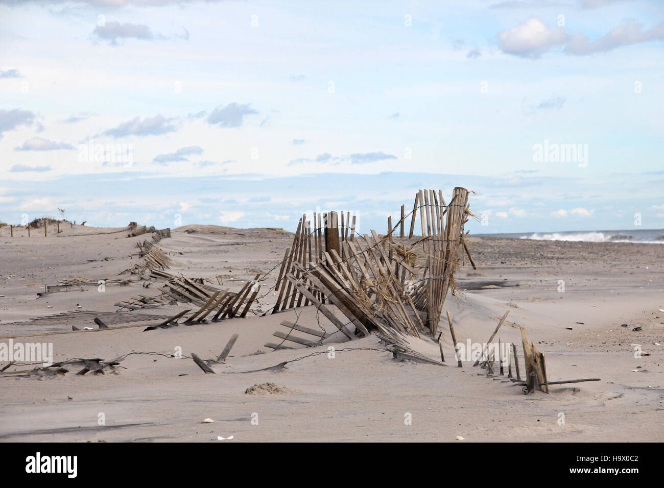 Stabilizing sand dunes hi-res stock photography and images - Alamy