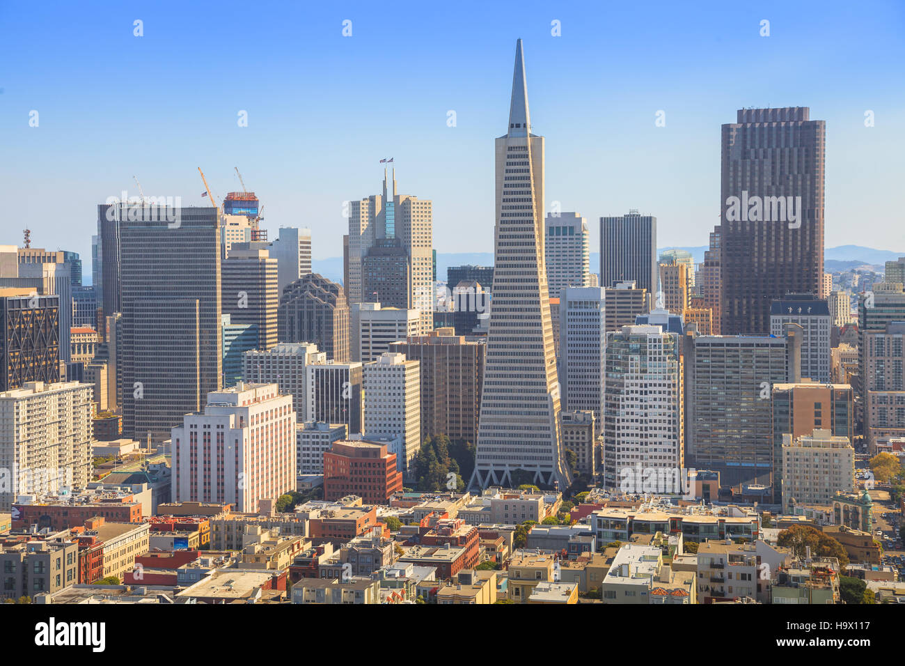 transamerica pyramid in san francisco