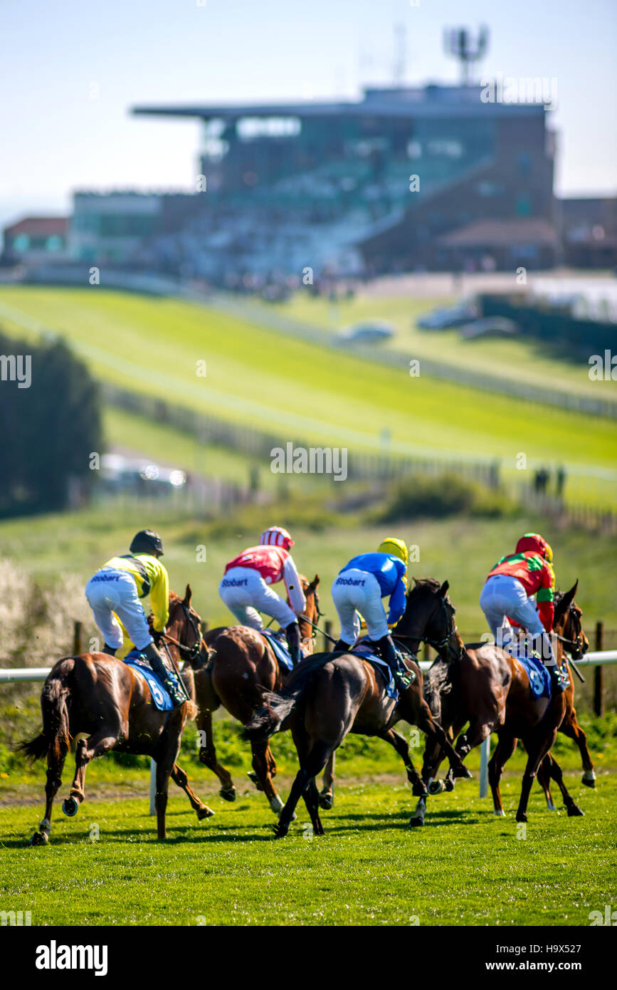 Brighton Racecourse High Resolution Stock Photography And Images Alamy