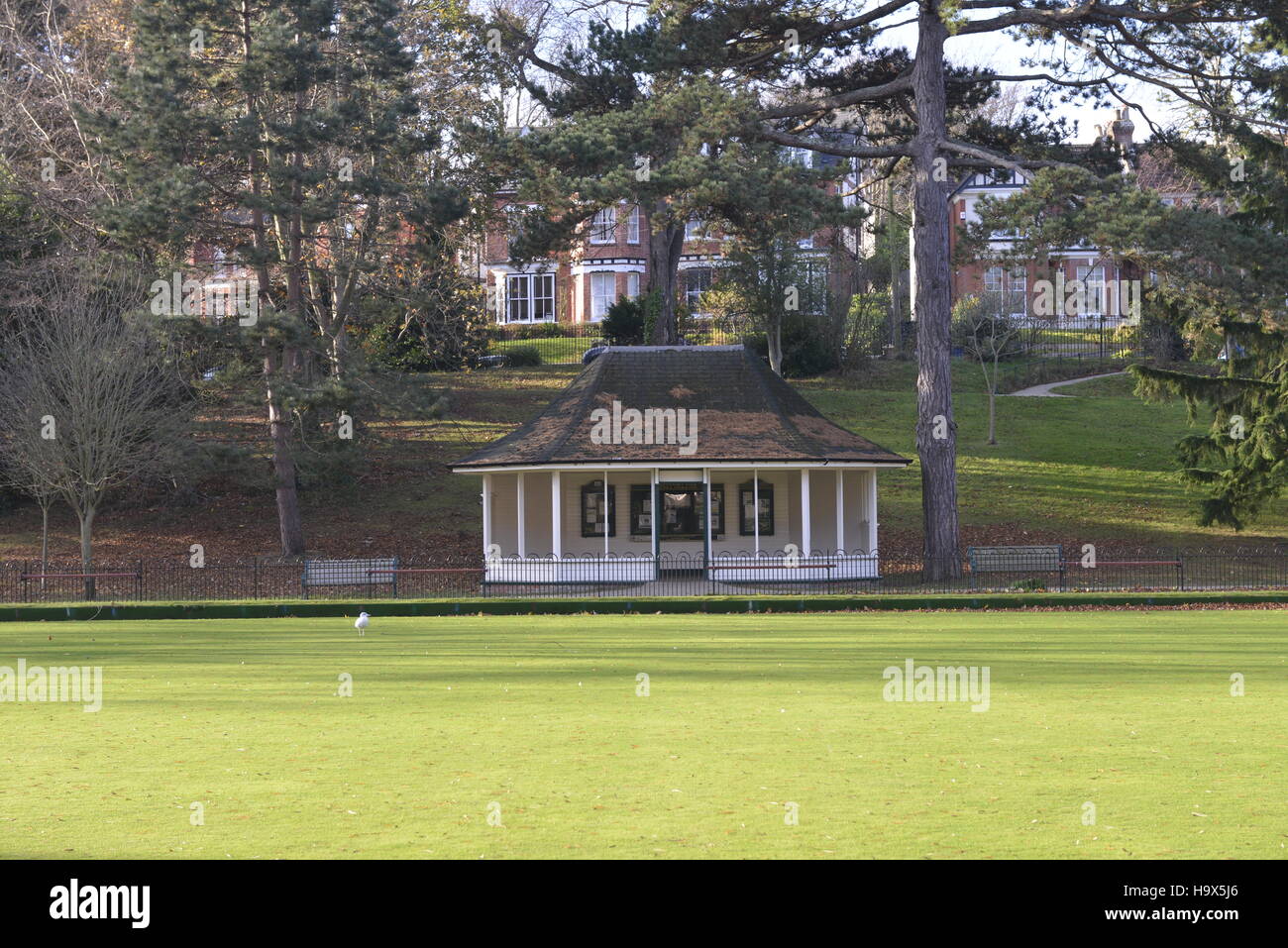 Alexandra and Clive Vale Bowls Club green, Stock Photo