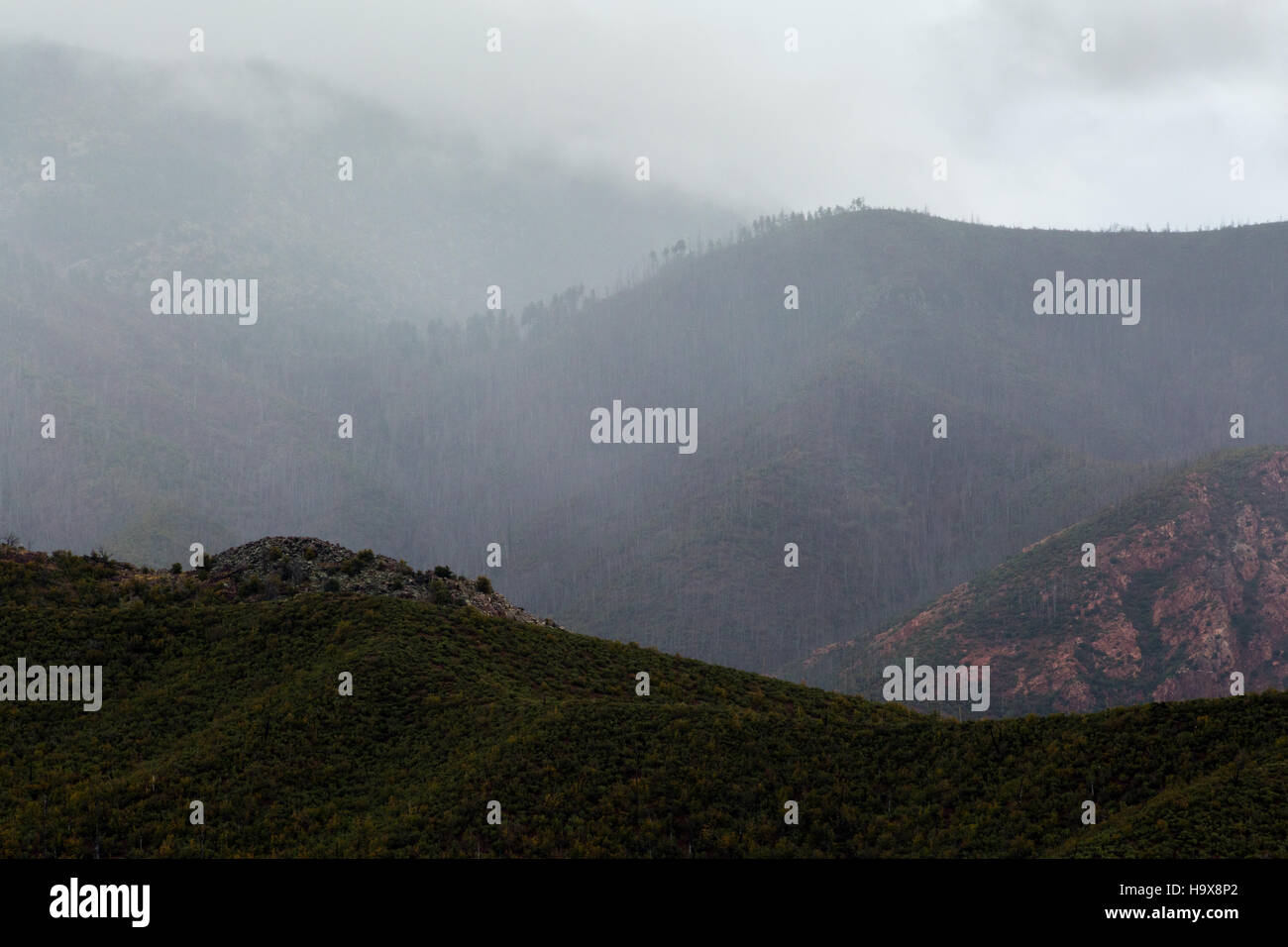 Rain showers pouring over the Mazatzal Mountains. Mazatzal Wilderness ...