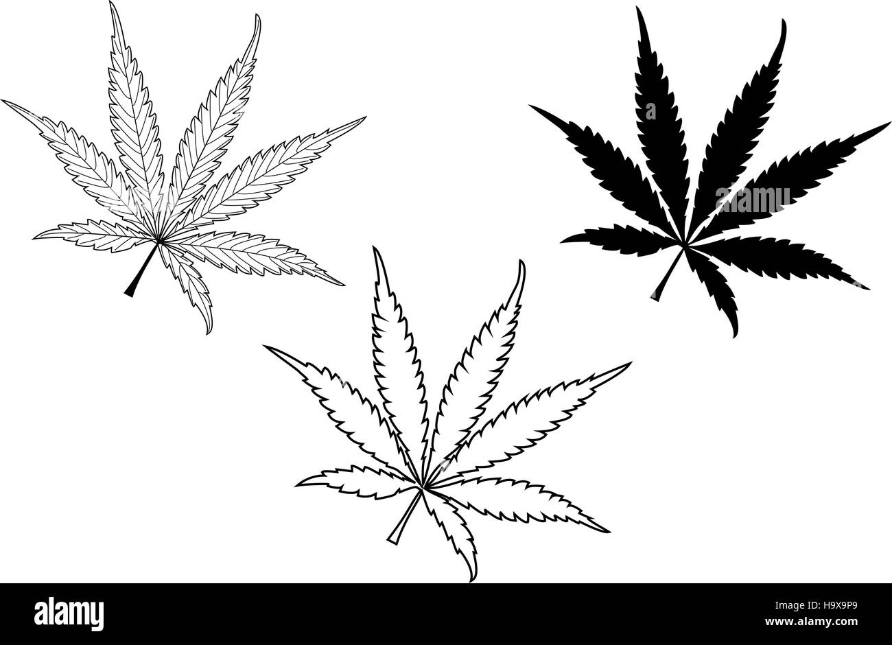 Weed Leaf Outline Vector Art, Icons, and Graphics for Free Download