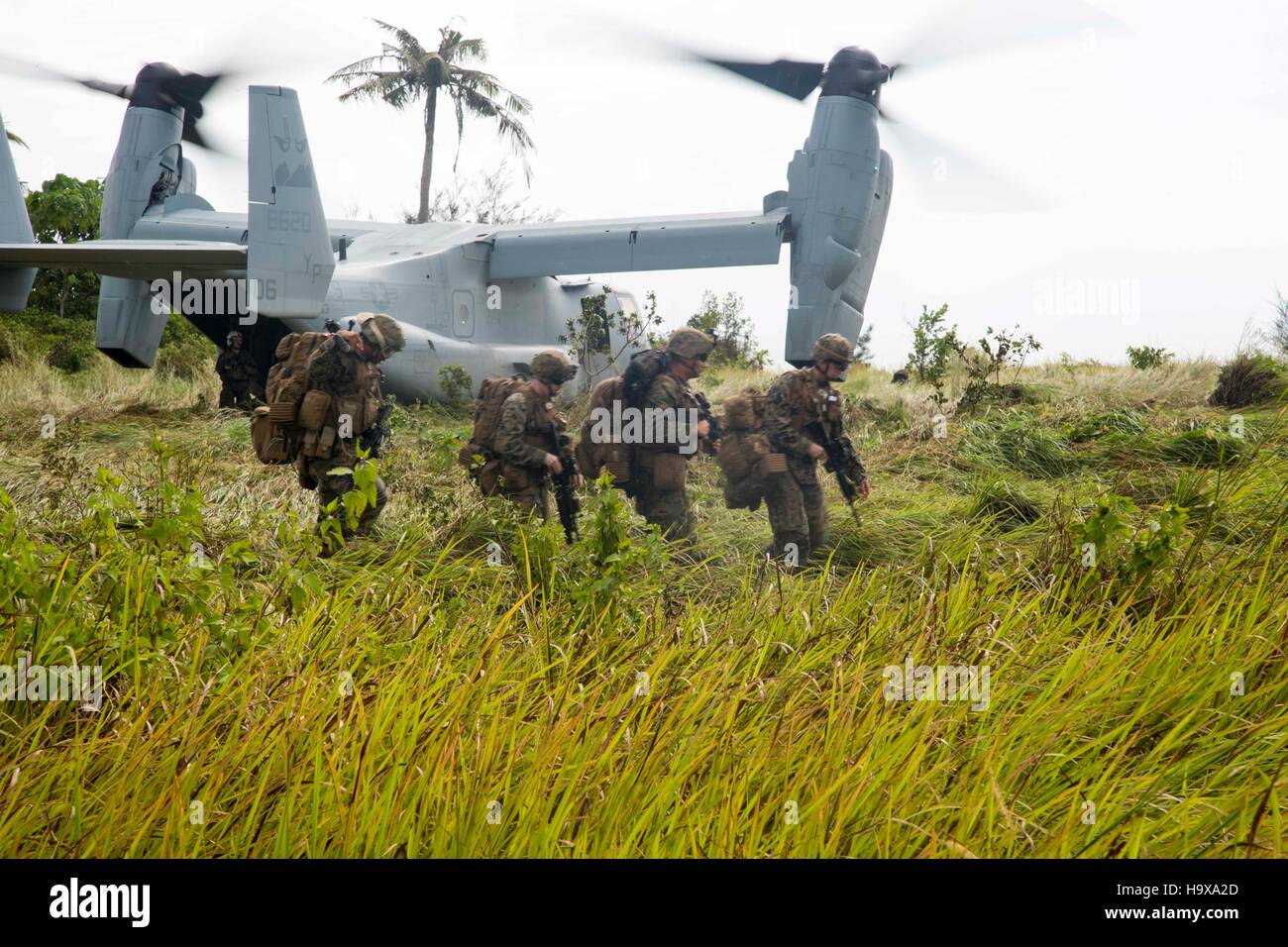 U.S. soldiers exit an MV-22 Osprey tiltrotor aircraft during exercise Tiger Strike November 11, 2016 in the Sabah Province, Malaysia. Stock Photo