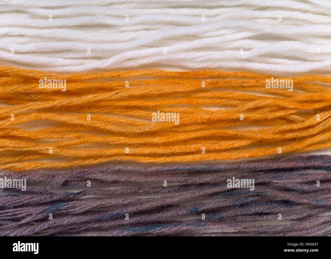 Wool yarn swatches colored by henna and indigo and control white sample Stock Photo