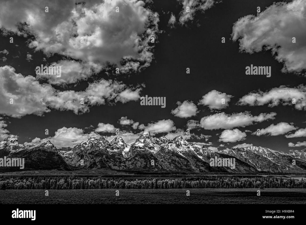 The Grand Teton Stock Photo Alamy