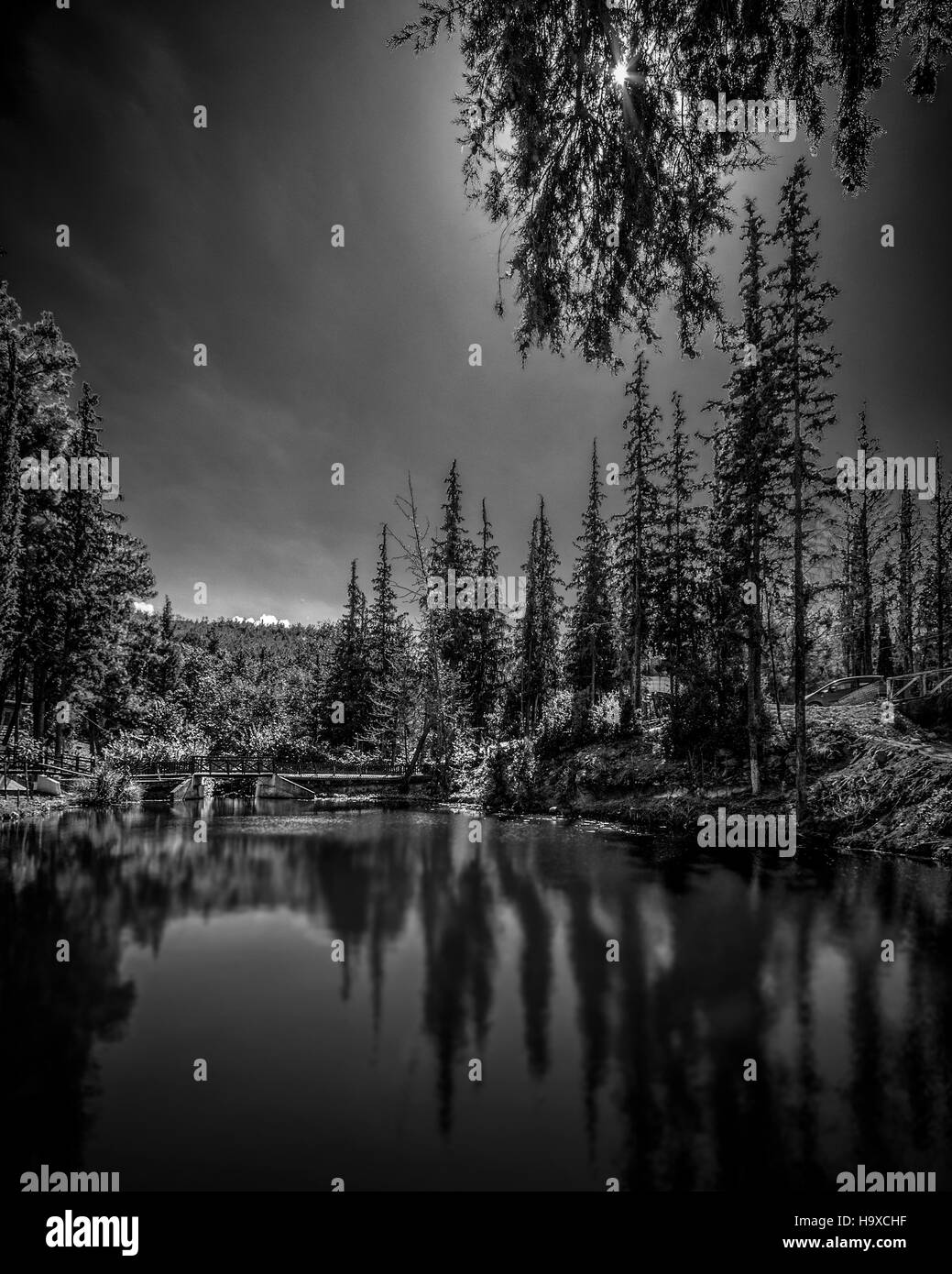 Trees lake daytime Black and White Stock Photos & Images - Alamy