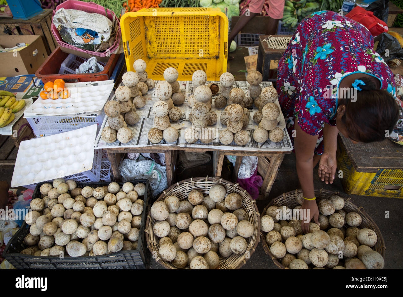 Wood apple market Sri Lanka Stock Photo Alamy