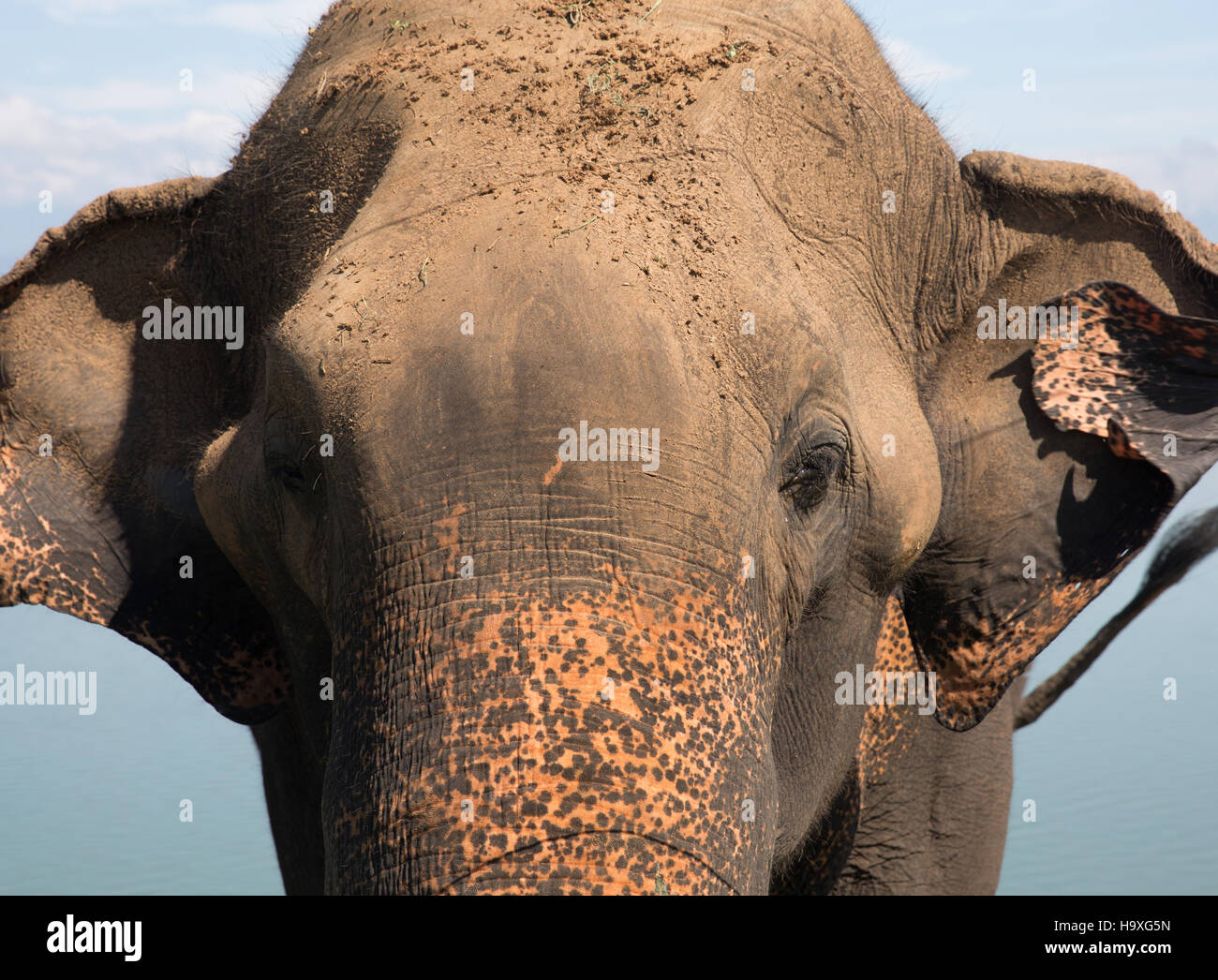 Waiting by road hi-res stock photography and images - Alamy