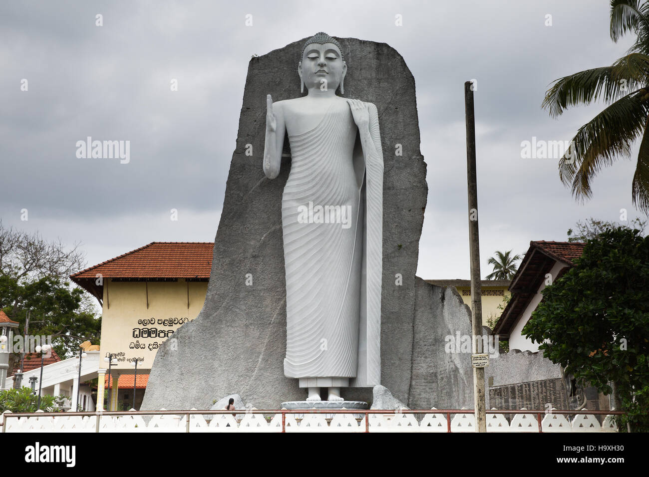 Buddha statue Sri Lanka Stock Photo Alamy