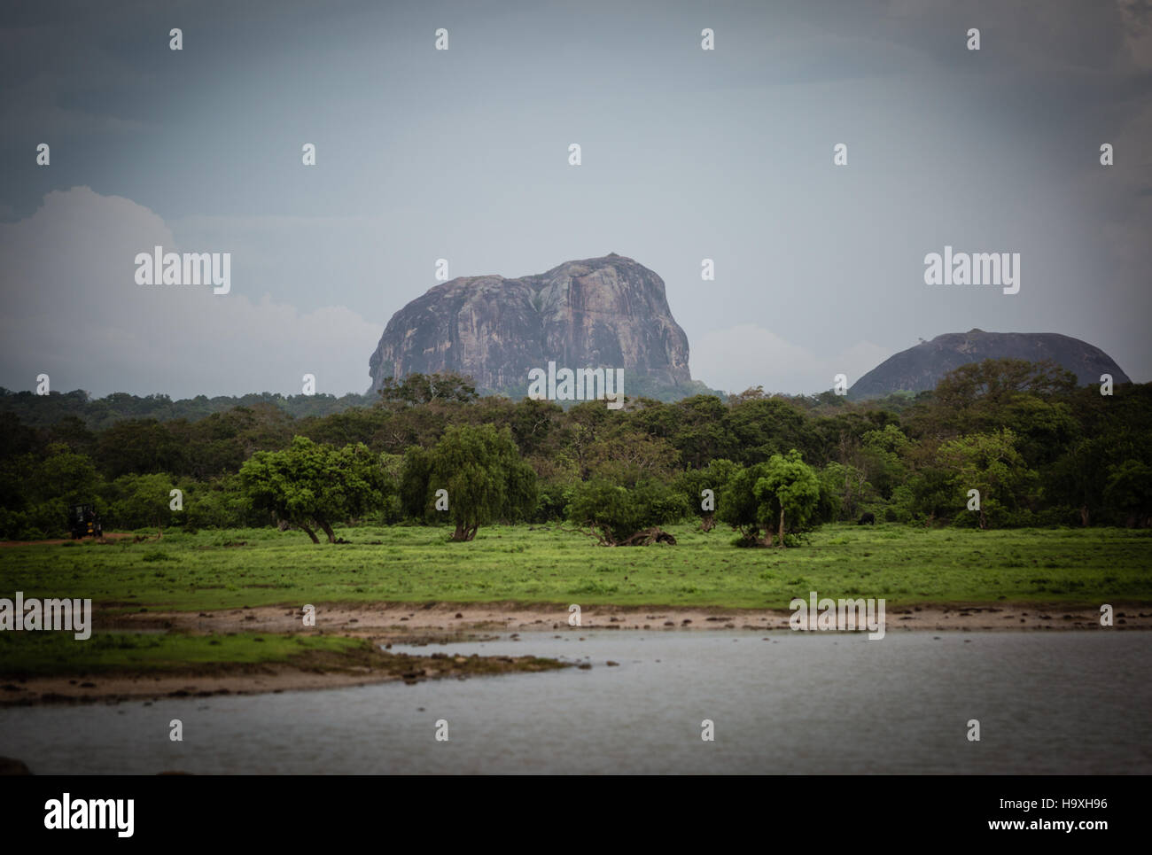 Wild animals Yala National Park Southern province Sri Lanka Stock Photo