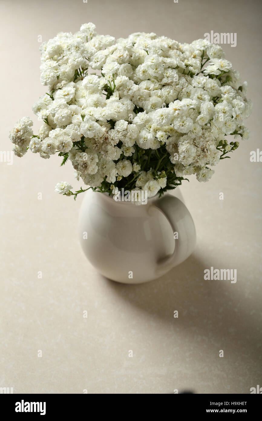 Baby breath hires stock photography and images Alamy