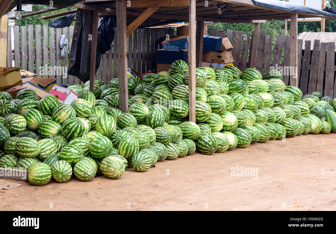 Watermelon for sale at market stall Stock Photo Alamy