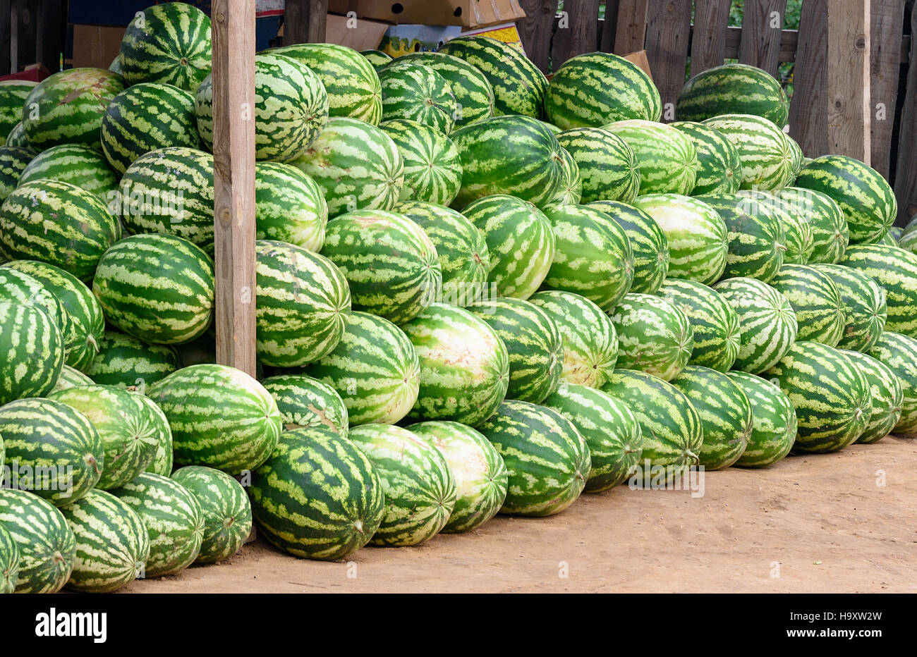 Watermelon for sale at market stall Stock Photo Alamy