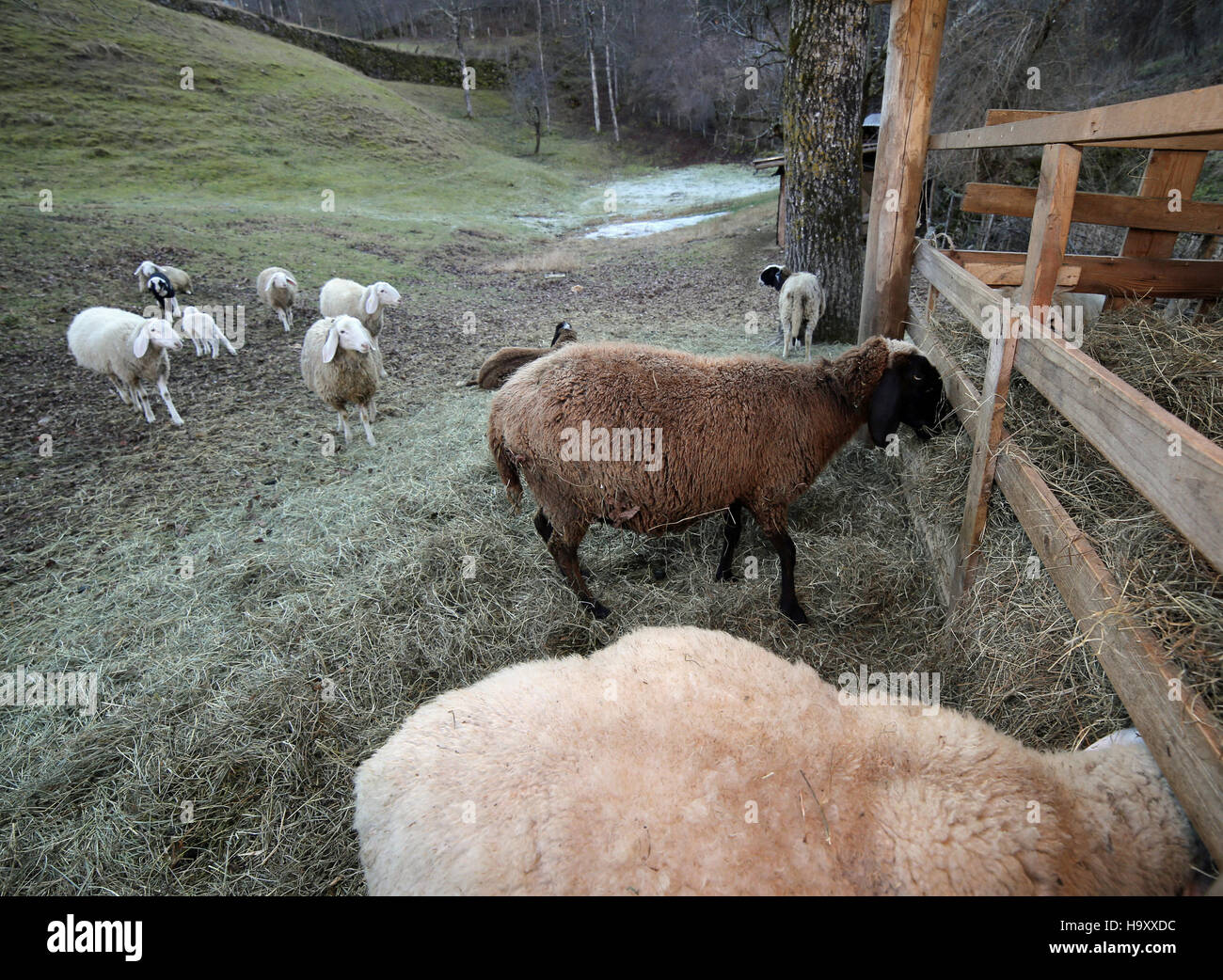 Hay fell hi-res stock photography and images - Alamy