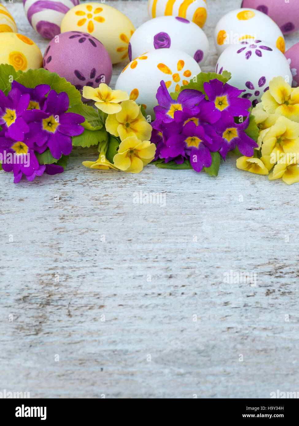 Yellow and violet Easter eggs and primrose flowers bouquet composition Stock Photo