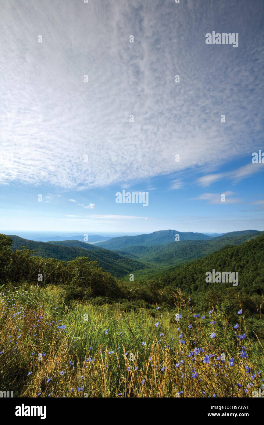 The view from Pinnacles Overlook at Old Rag Mountain offers sweeping ...