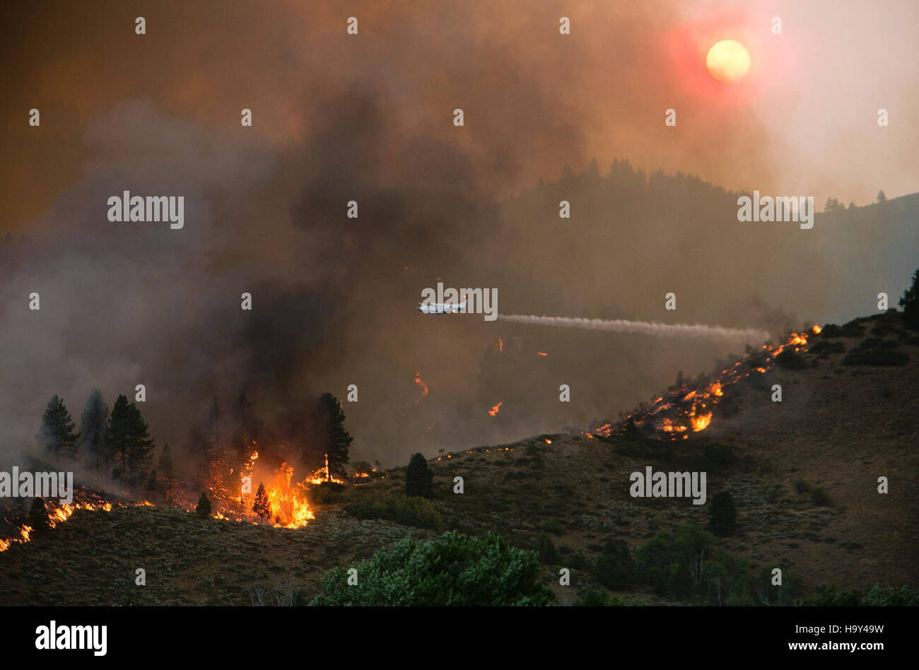 Elk Complex Fire Forest Fires Stock Photo