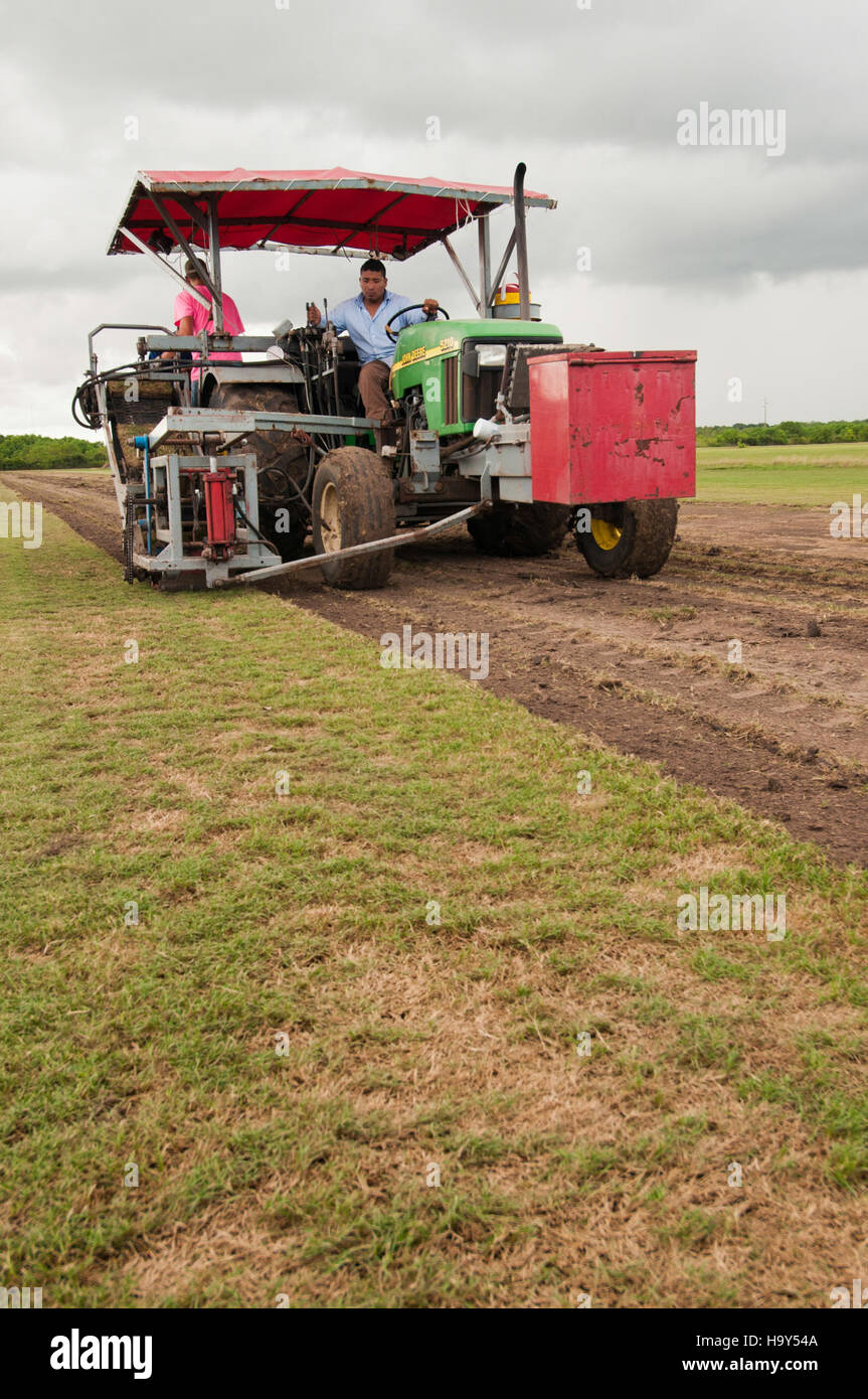 usdagov 9682294874 20130820-OC-RBN-2565 - Stock Image