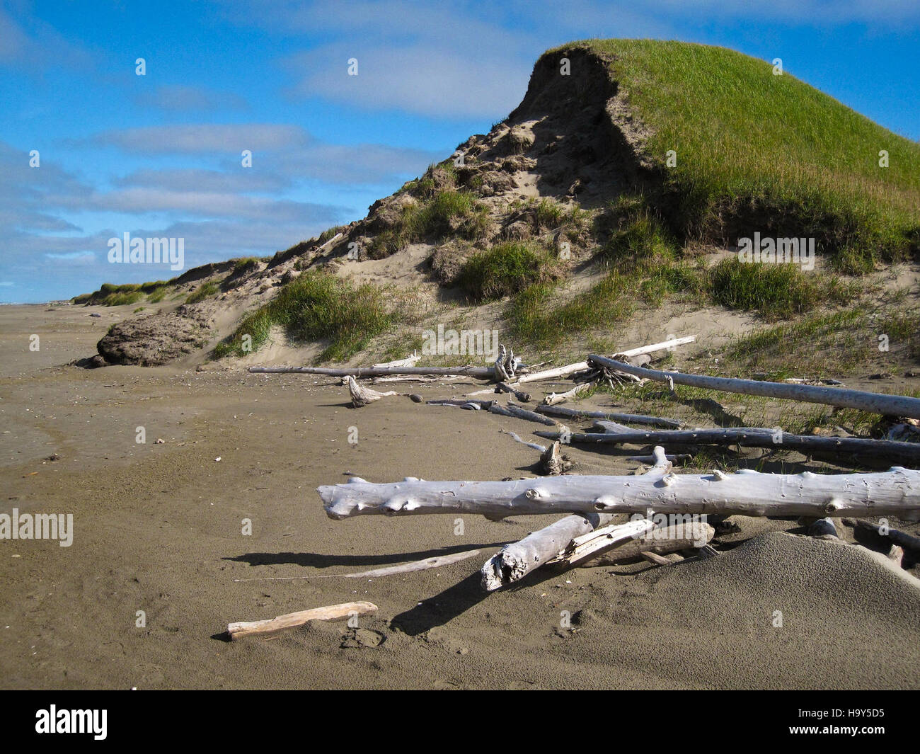 bering land bridge 16086016438 Sand Dune 3822 edit resize Stock Photo
