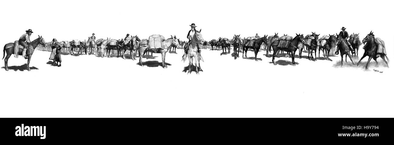 Pack mule illustration Black and White Stock Photos & Images - Alamy
