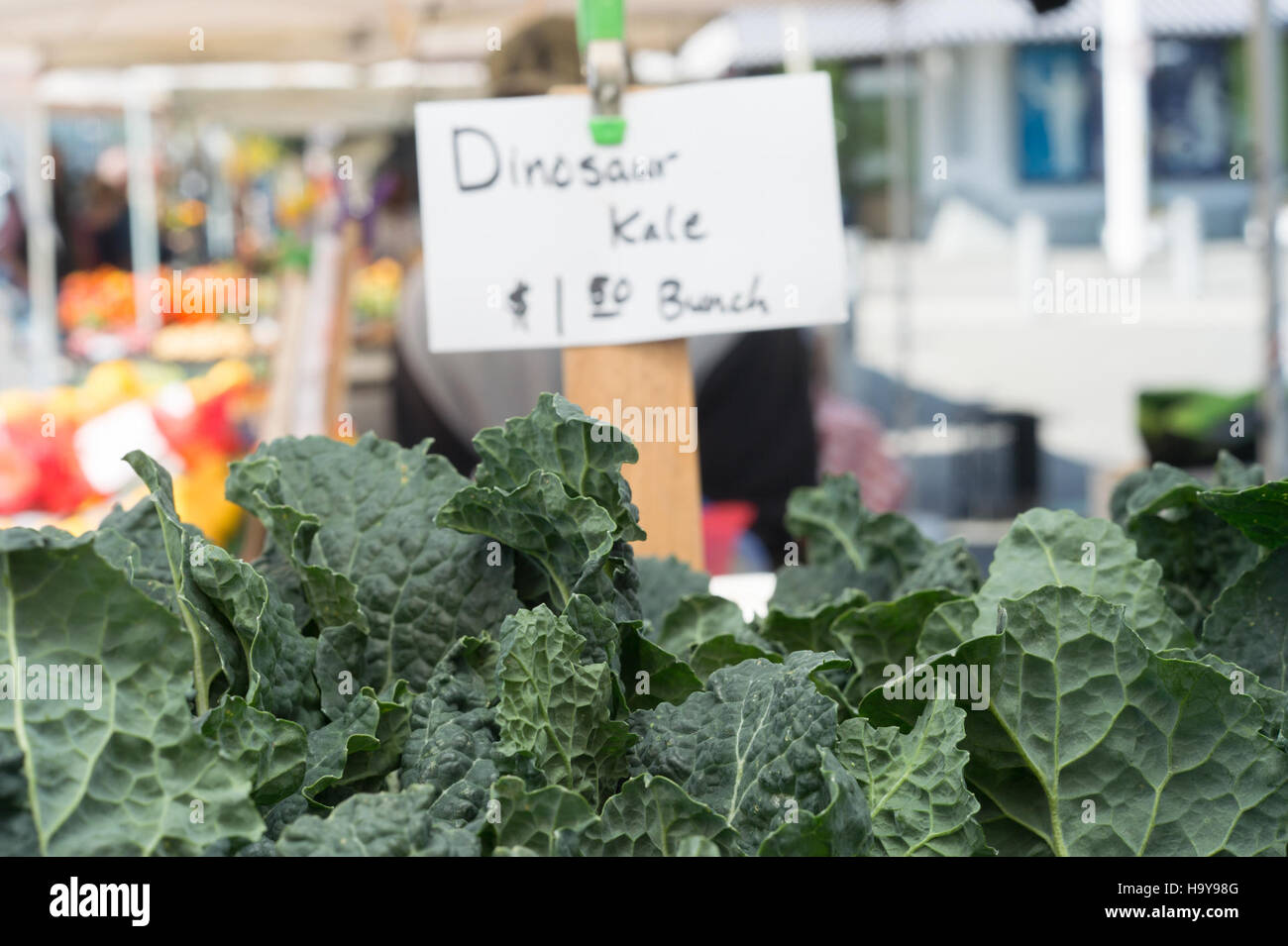 In California’s Central Valley, the Pacific Coast Farmers Market Association supports local farmers like Keng Xiong, a Hmong immigrant, through SNAP benefits to provide affordable, fresh food to families at Jack London Square in Oakland. Stock Photo