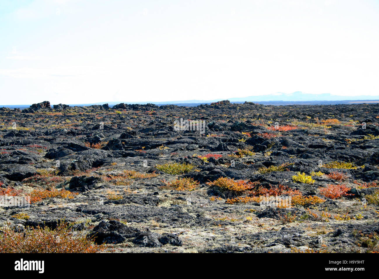 The Bering Land Bridge National Preserve in Alaska includes the Imuruk ...