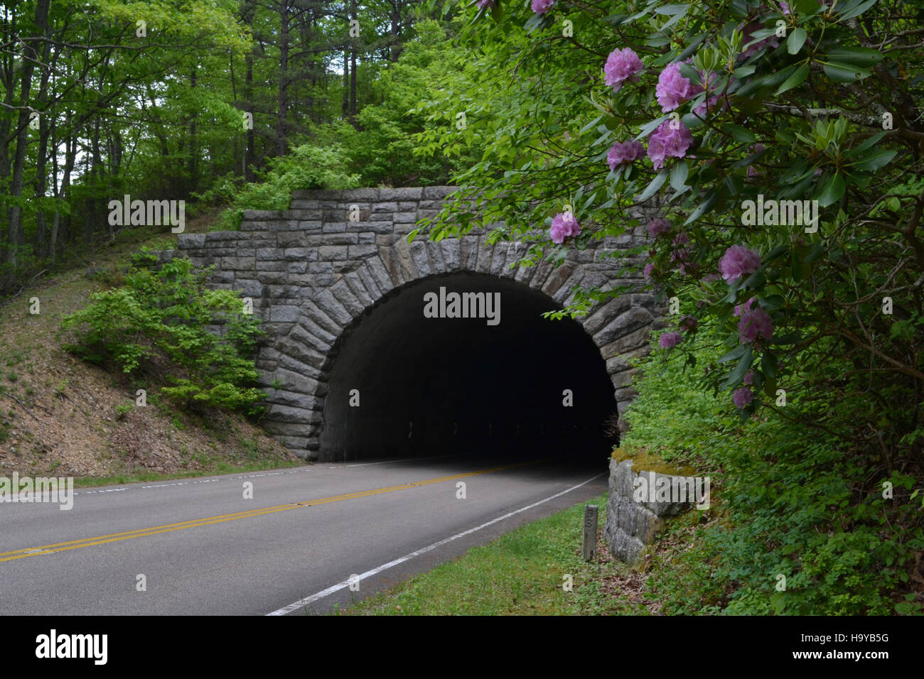 The Bluff Mountain Tunnel, located along the Blue Ridge Parkway at ...