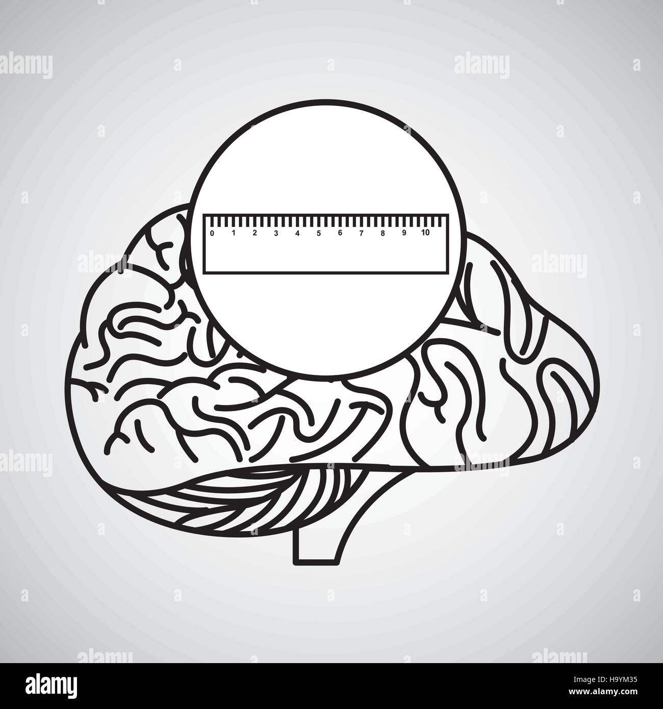 Brain Ruler plastic ruler brain school knowledge vector illustration eps 10 Stock ...