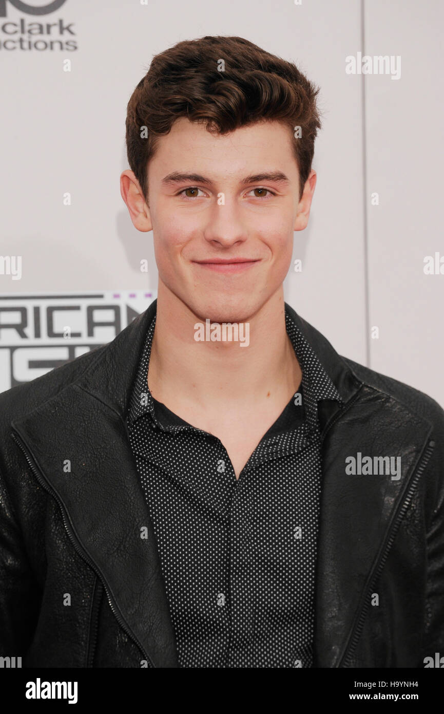 Shawn Mendes arrives at the 2016 American Music Awards at Microsoft