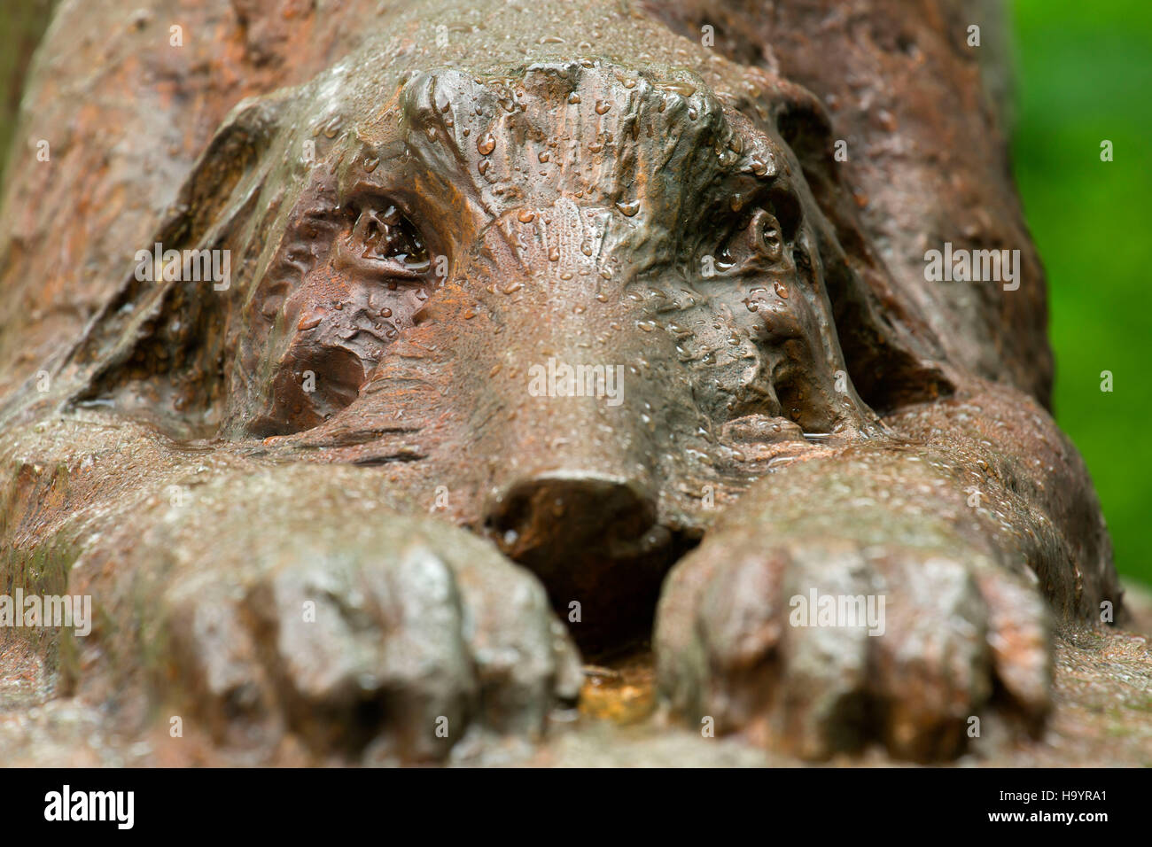 New York Irish Brigade Infantry monument statue, Gettysburg National Military Park, Pennsylvania Stock Photo