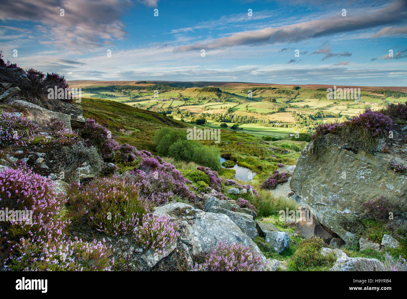 North york moors national park hi-res stock photography and images - Alamy