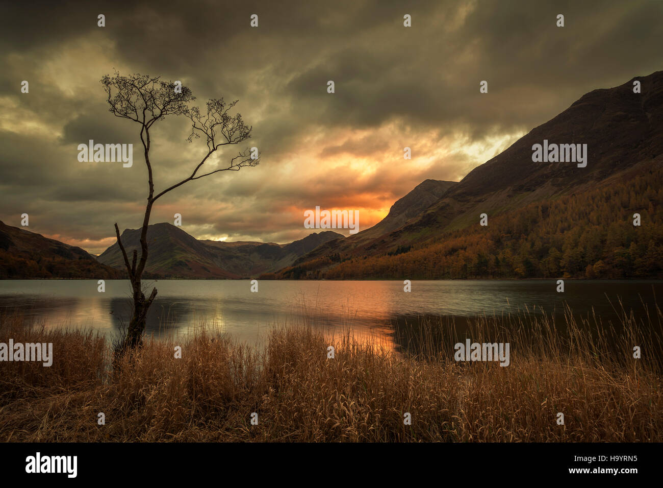 Autumn at Buttermere in the Lake District, Cumbria. Stock Photo