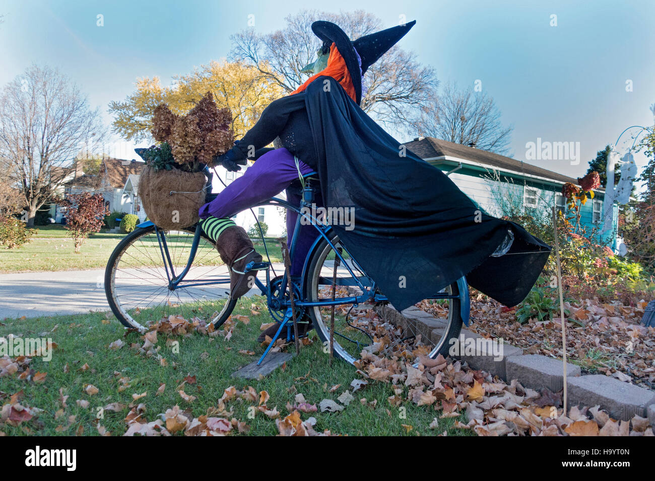 Halloween witch riding bicycle with basket of flowers through