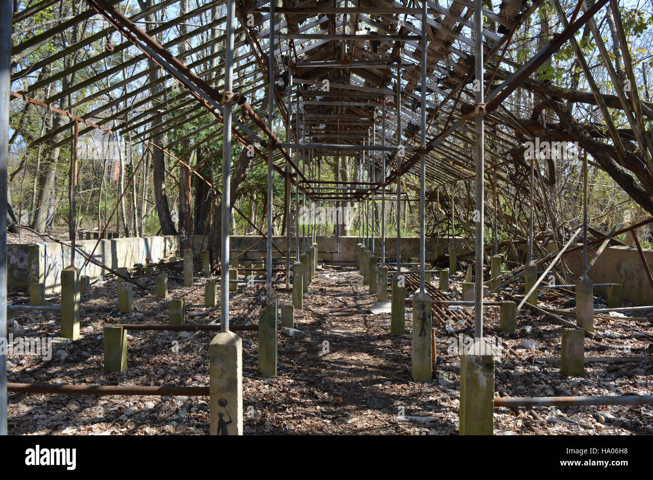 Abandoned greenhouse abandoned hi-res stock photography and images - Alamy