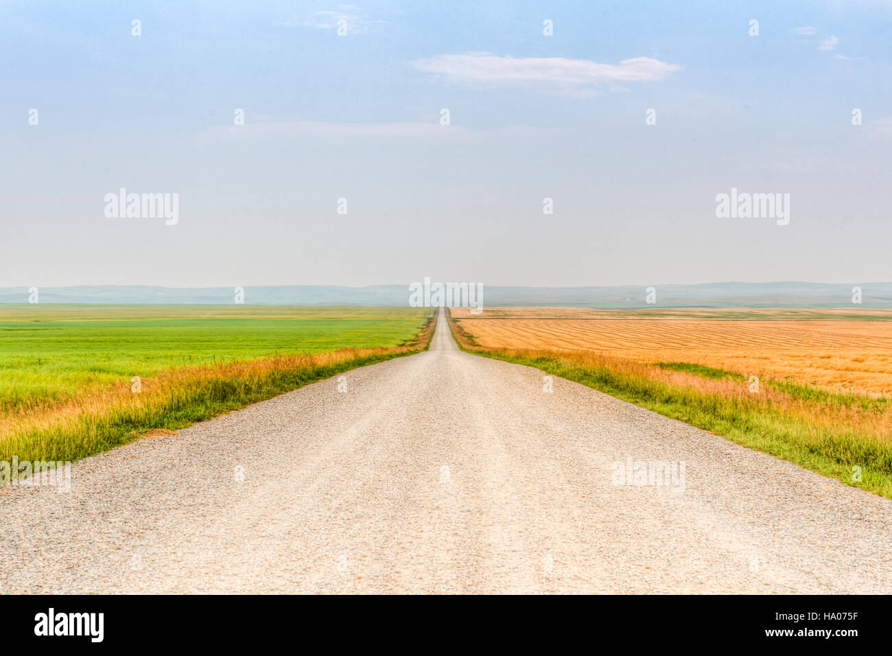 Farmstead in rural Southern Alberta Canada Stock Photo Alamy