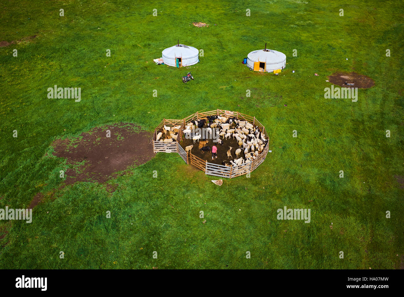 Mongolia, Arkhangai province, yurt nomad camp in the steppe Stock Photo ...