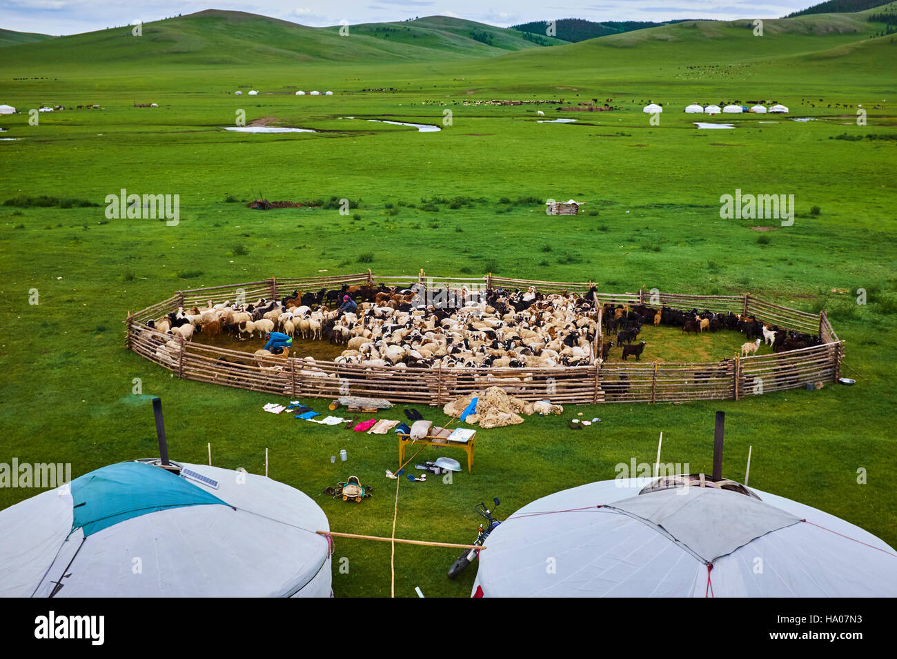 Mongolia, Arkhangai province, yurt nomad camp in the steppe Stock Photo ...